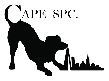 CAPE SPC: Exhibiting at Leisure and Hospitality World